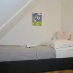 Dom *