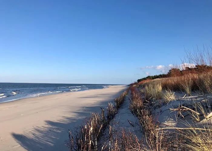 Dom Διαμέρισμα *